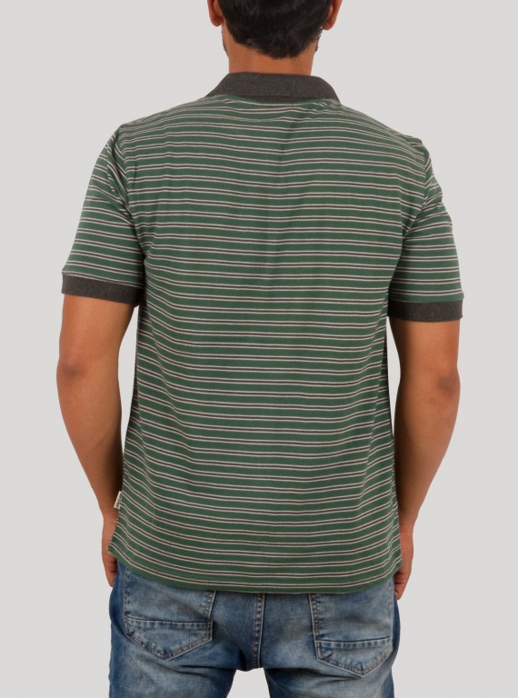 Green solid stripe Polo TShirt