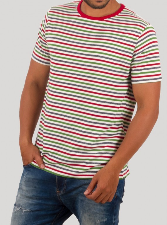Multicolor Striped Round Neck T-Shirt for Men – Boer and Fitch