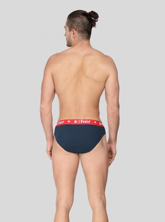 Blue Contrast Band Brief