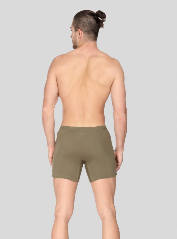 Kakhi Buttoned Boxer Brief