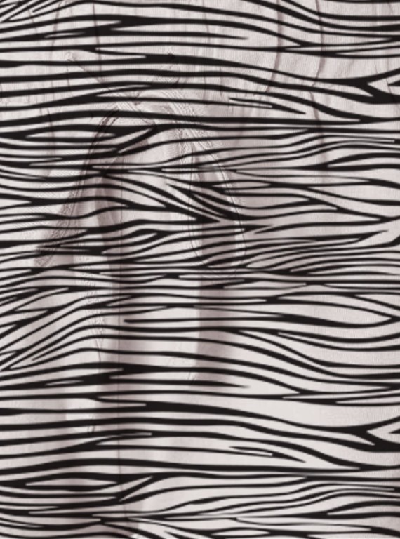 Graphic Zebra Skin Print Womens Shorts Boer and Fitch - 7