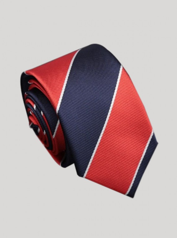 Men’s Classic Red & Blue Tie – Timeless Formal Style by Boer and Fitch