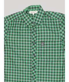 Green Stripped Shirt Boer and Fitch - 2