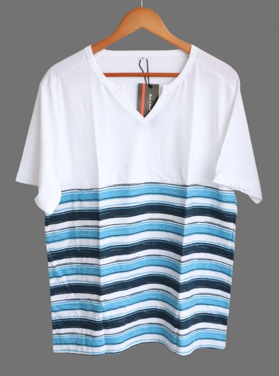 Blue Stripe V-Neck T-Shirt for Men – Casual Style by Boer and Fitch